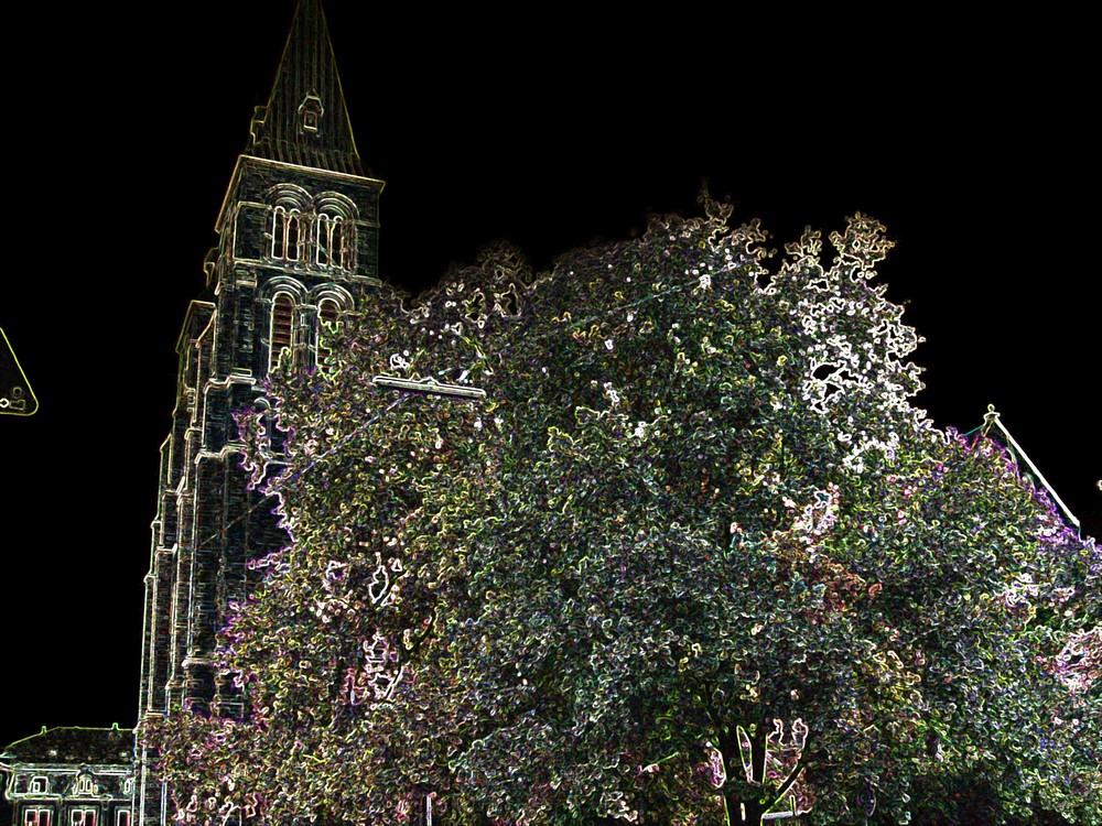 MARIENKIRCHE MIT GROßEM BAUM DAVOR