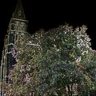 MARIENKIRCHE MIT GROßEM BAUM DAVOR