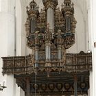 ~ Marienkirche - Orgel ~