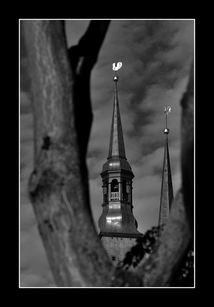 Marienkirche Rostock ... Einzelheit.........