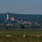 Marienmünster Diessen