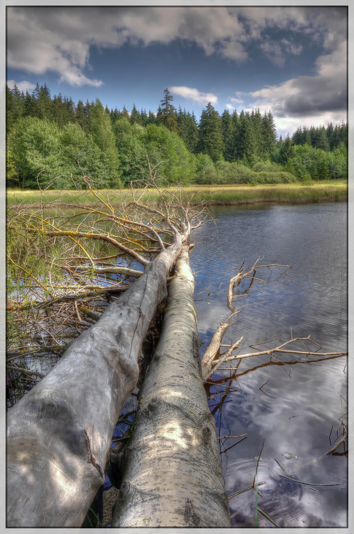 Marienteich (Harz)