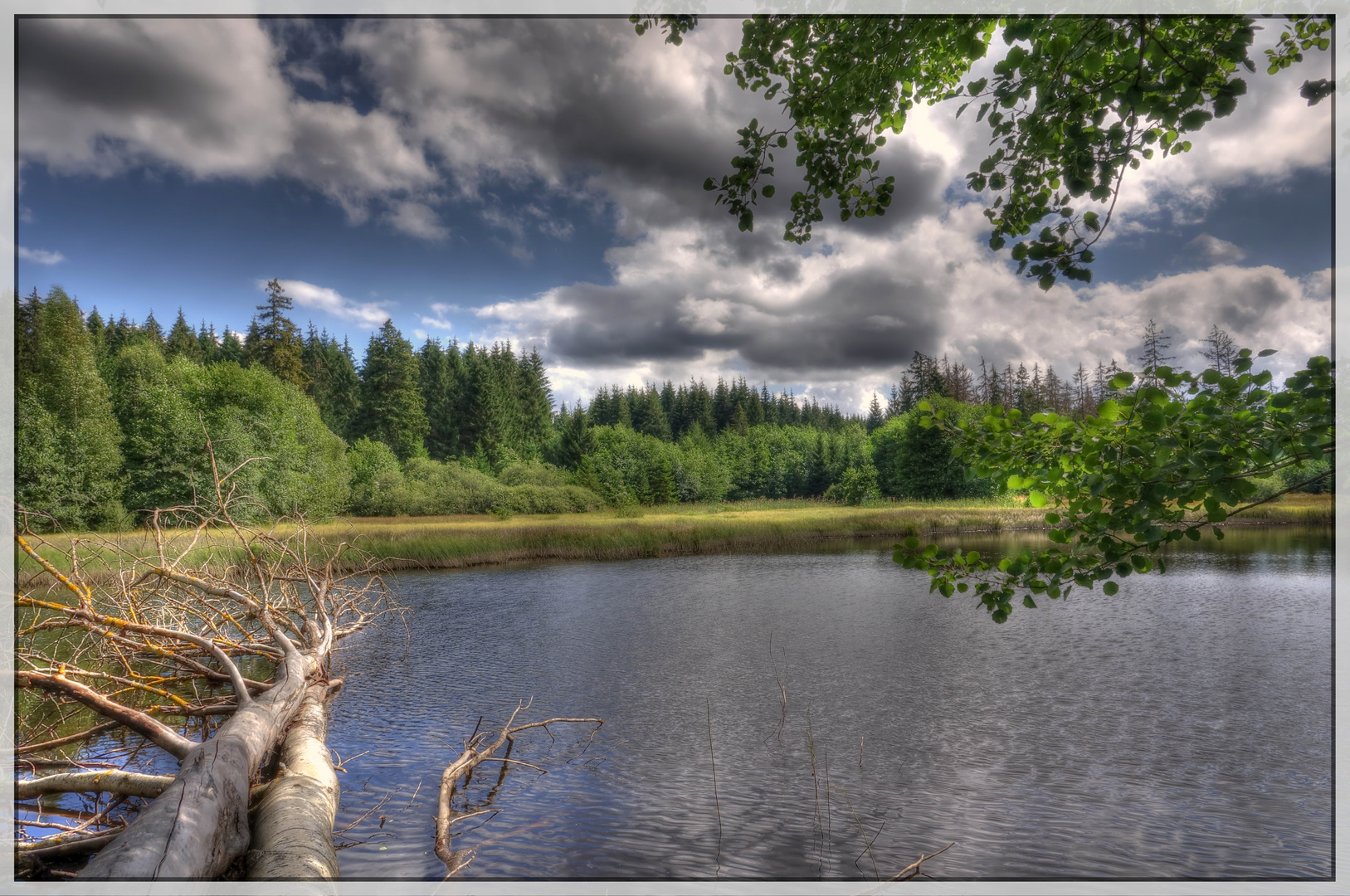 Marienteich II (Harz)