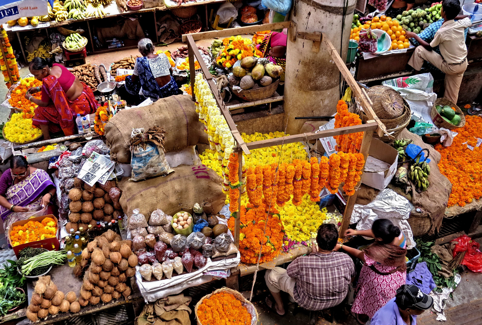 Marigolds