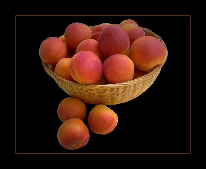 Marillen aus der Wachau Foto & Bild pflanzen, pilze & flechten, früchte und beeren, food Marillen aus der Wachau Foto & Bild pflanzen, pilze & flechten, früchte und beeren, food