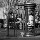 Marilyn in Aix