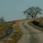 Marin 74 route des fourches en hiver