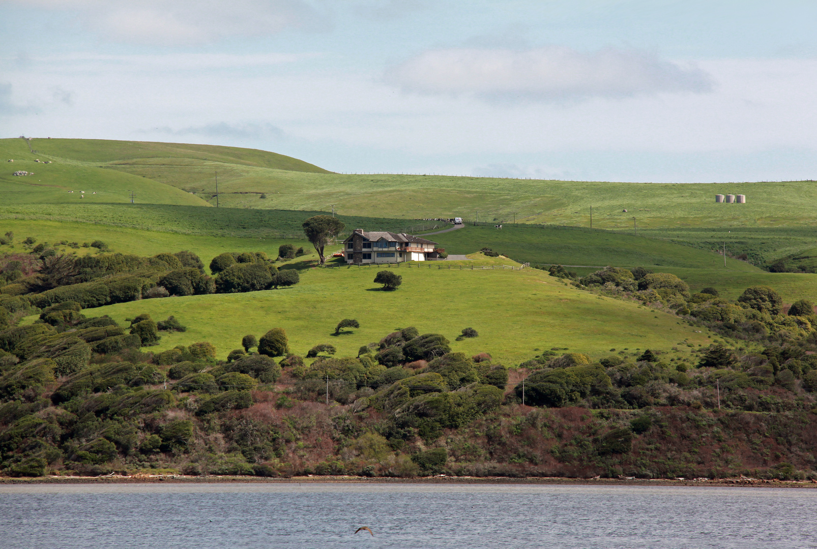 Marin County