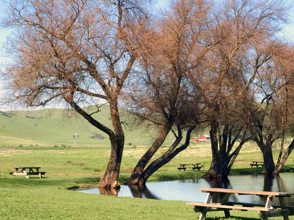 Marin County pond and farm house