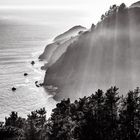 Marin Headlands