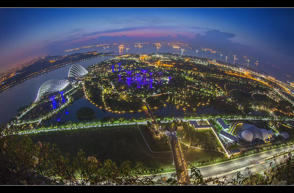 Marina bay garden morning sky