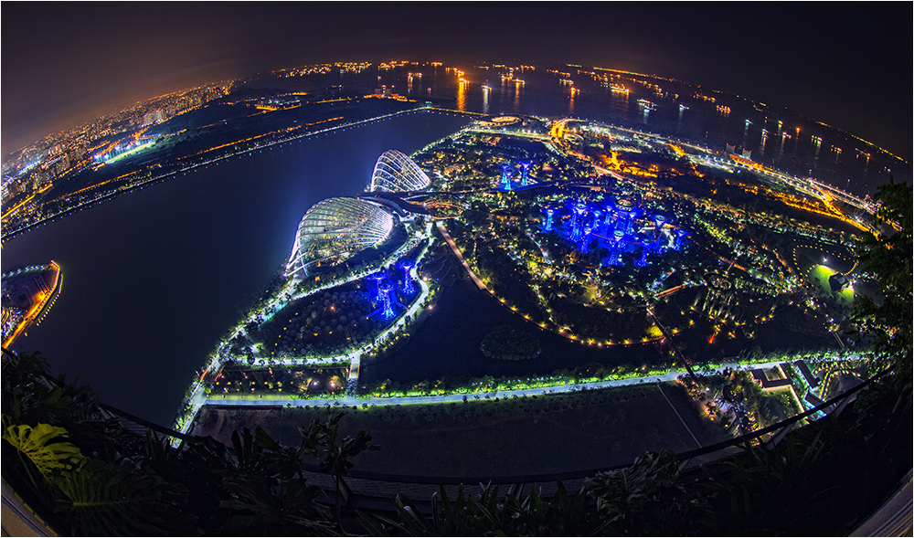 Marina bay garden night sky