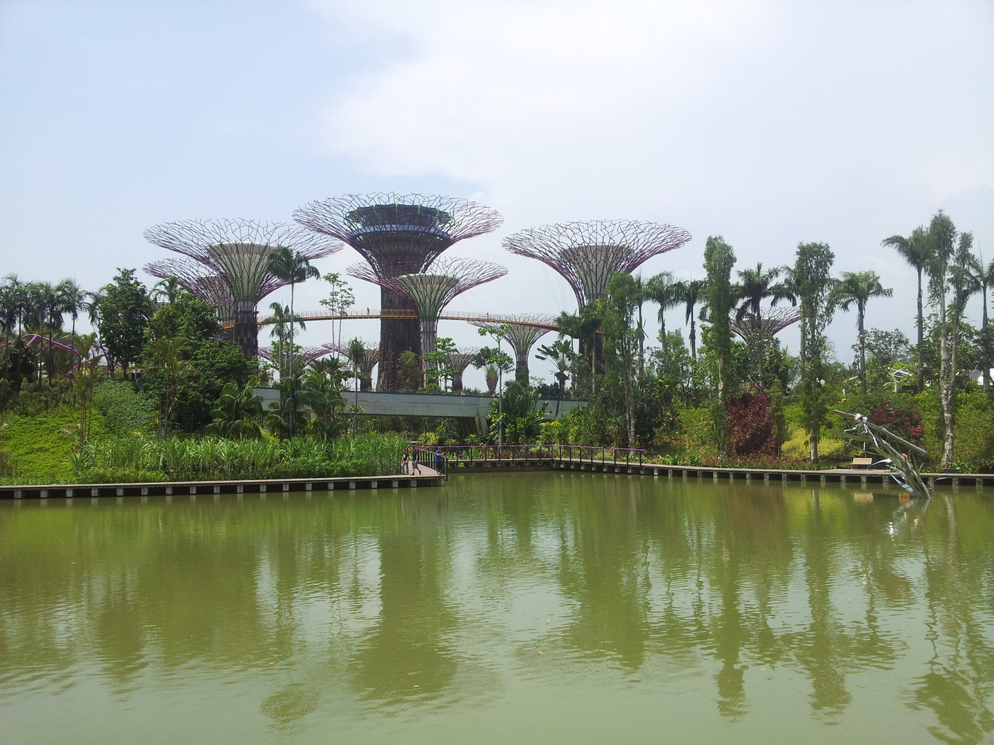 Marina Bay Gardens