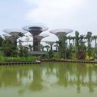 Marina Bay Gardens