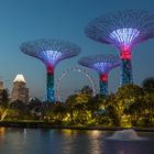 Marina Bay Park @ Night