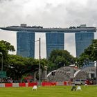 Marina Bay Sands