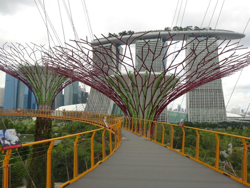 Marina Bay Sands Hotel