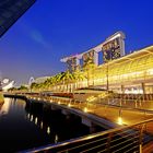 Marina Bay Sands Singapur bei Nacht