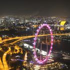 Marina Bay Sands View