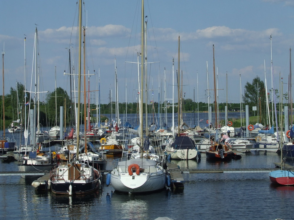 Marina de Munsterse Speije (Maas)