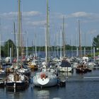 Marina de Munsterse Speije (Maas)