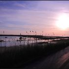 Marina di Alberese-alla foce dell'Ombrone