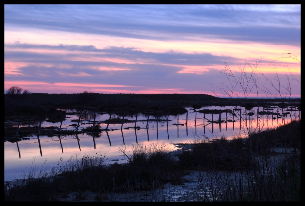 Marina di Alberese-alla foce dell'Ombrone-tramonto