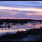 Marina di Alberese-alla foce dell'Ombrone-tramonto