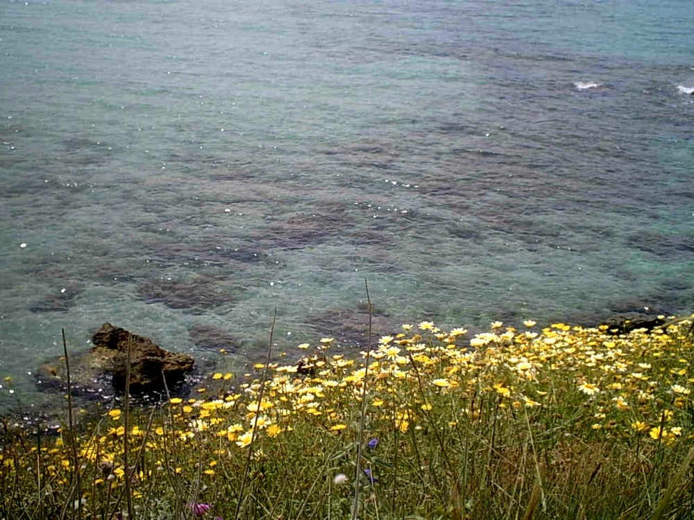 Marina di Leporano