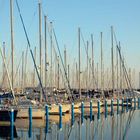 Marina di Ravenna Porto