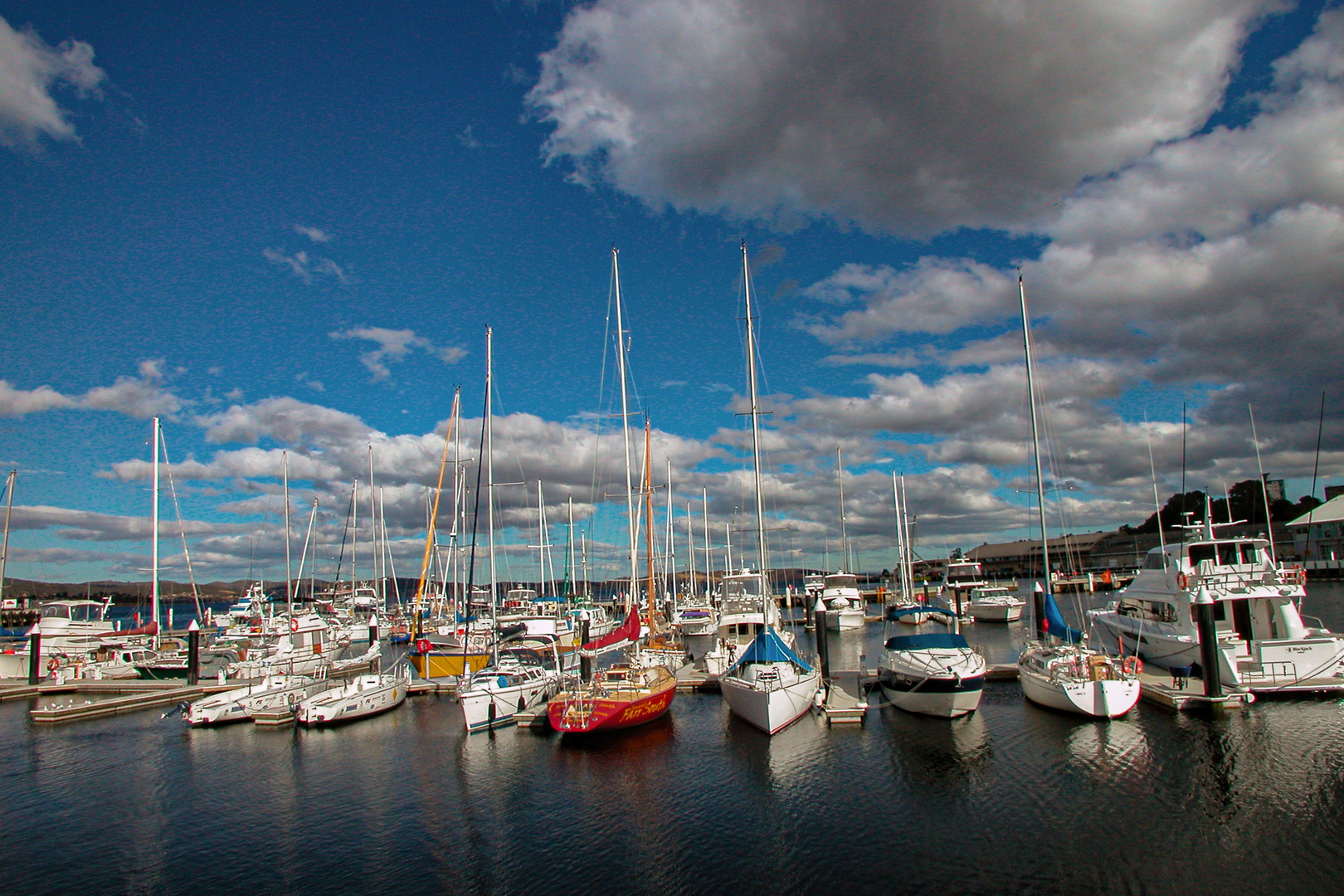 Marina in Hobart