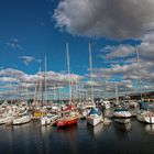 Marina in Hobart