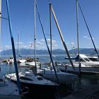 Marina of Saint-Prex, on a summer day.