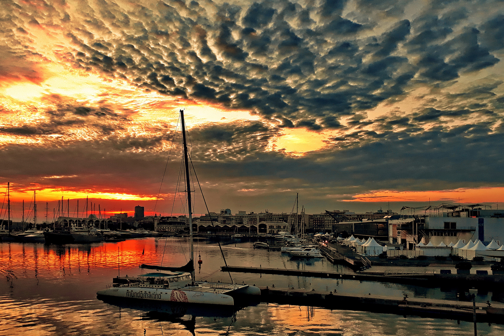 Marina Real Juan Carlos I, Valencia