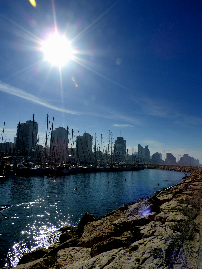 Marina Tel Aviv