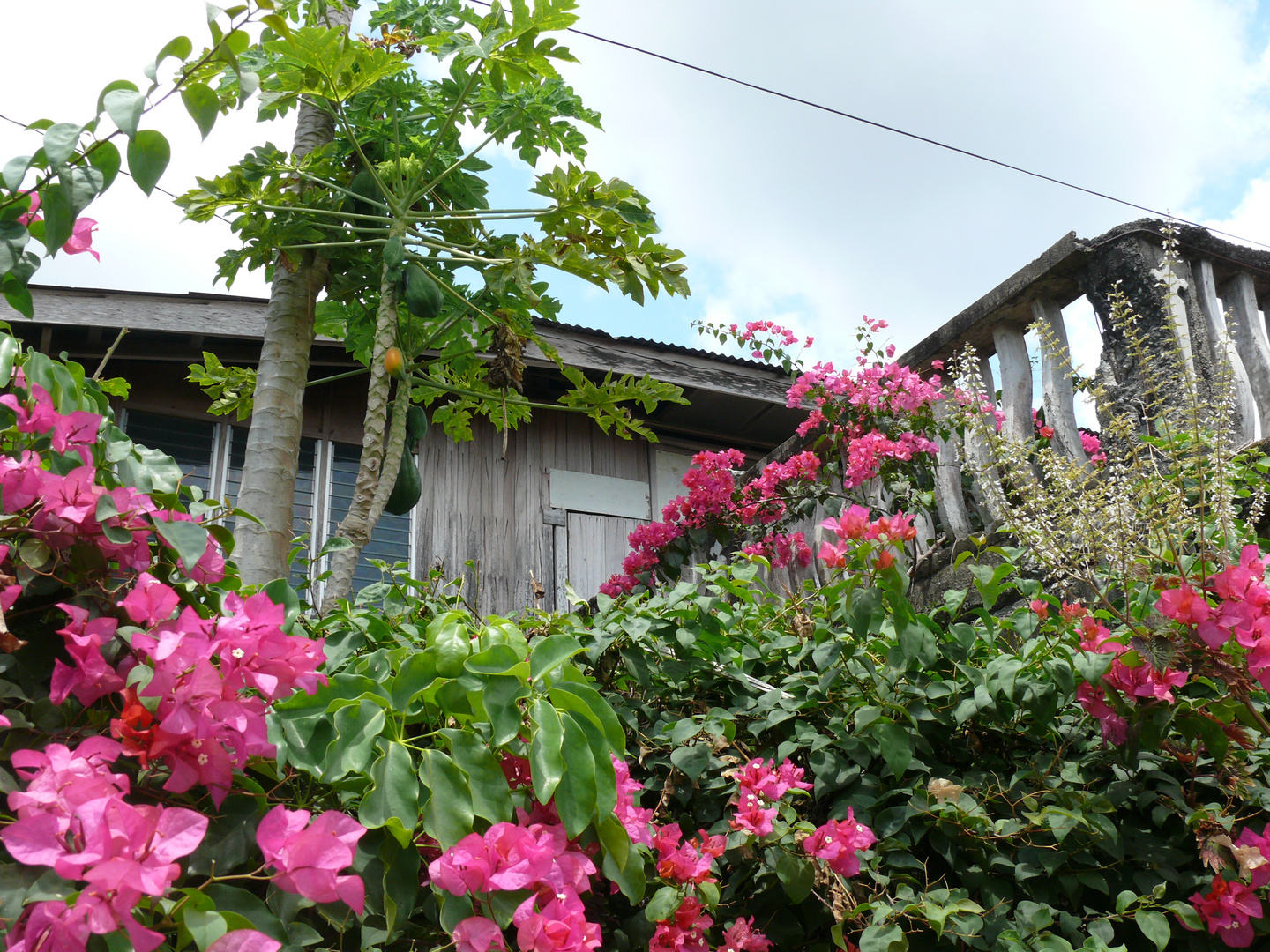 Marinduque Island House Philippinen