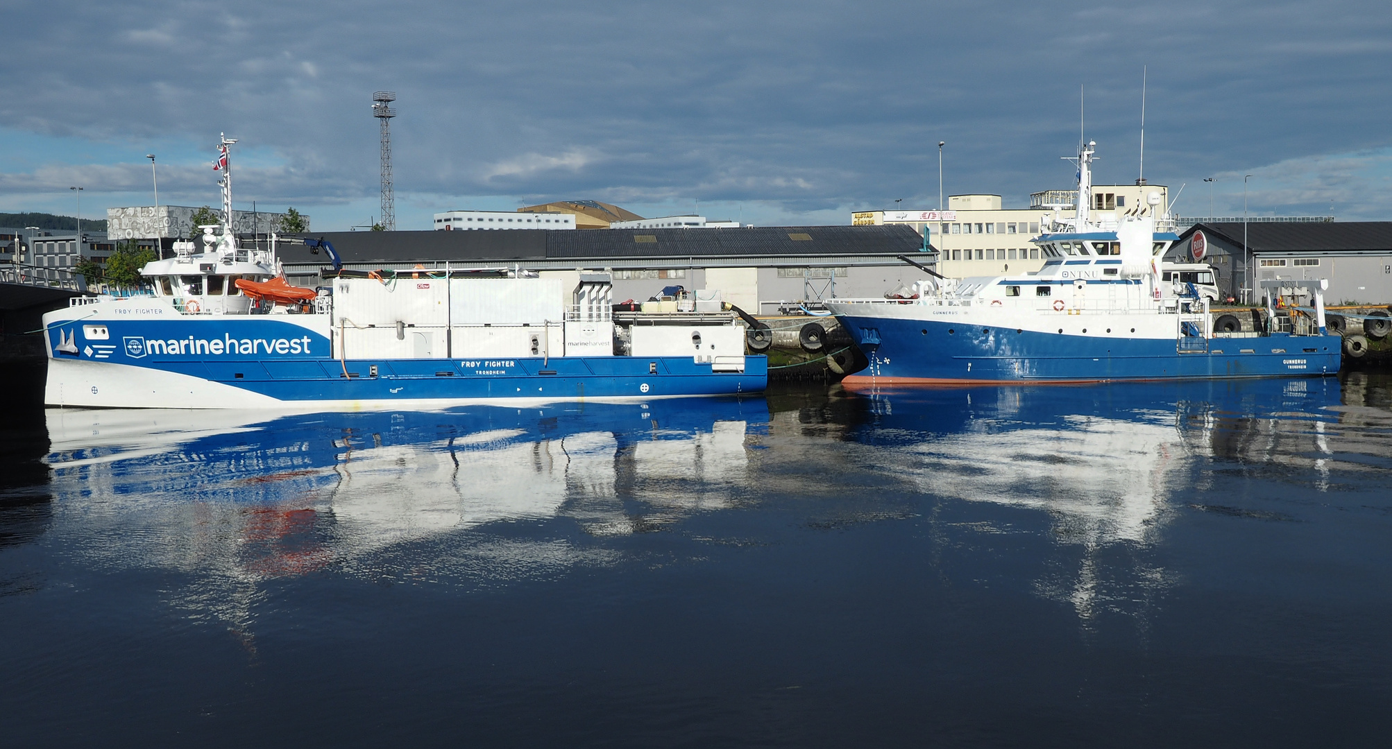 Marine Harvest Foto Bild Norwegen Spiegelung Kai Bilder Auf Fotocommunity