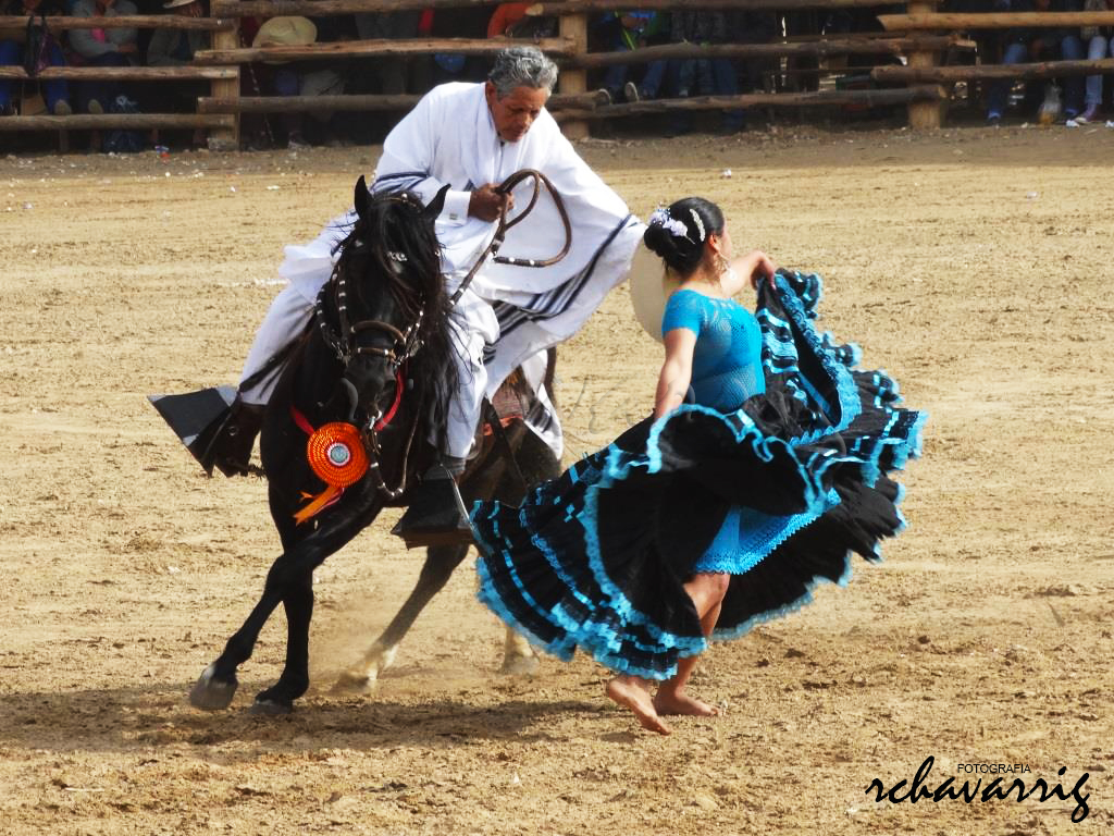 Marinera Mujer y Chalan a caballo