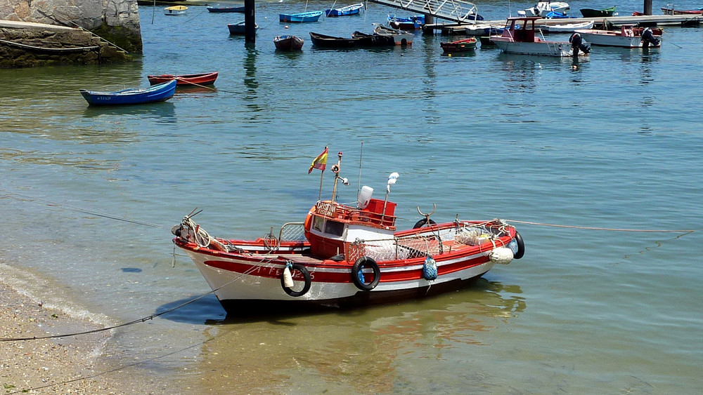 Marinera roja