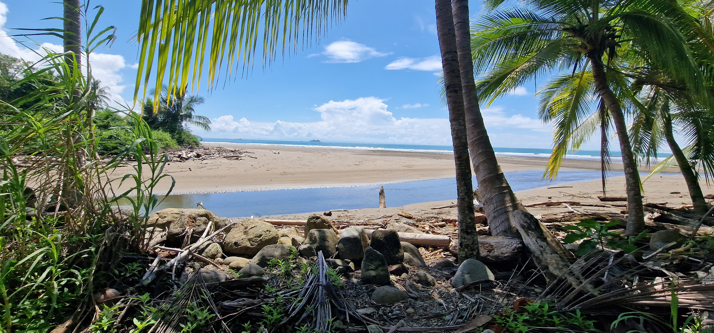 Marino Ballena Nationalpark