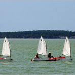 Marins débutants sur le bassin de Marennes-Oléron