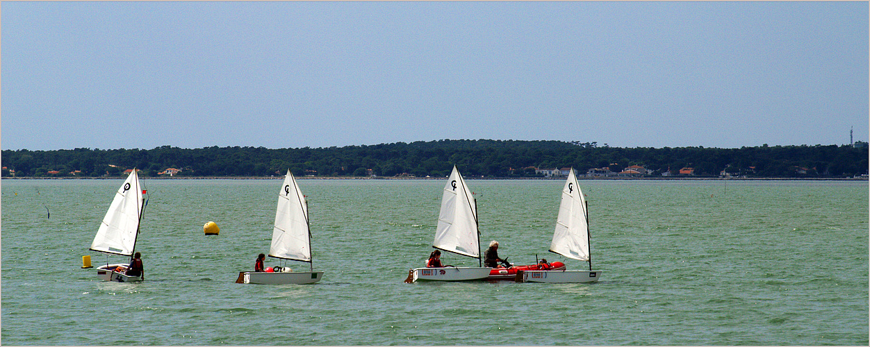 Marins débutants sur le bassin de Marennes-Oléron