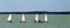 Marins débutants sur le bassin de Marennes-Oléron