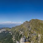 Mario Bottas Blume (Monte Generoso)