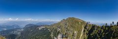 Mario Bottas Blume (Monte Generoso)