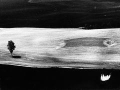 Mario Giacomelli - campagna marchigiana - presa di coscienza sulla natura, 1977-2000