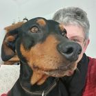 User Profile Photo