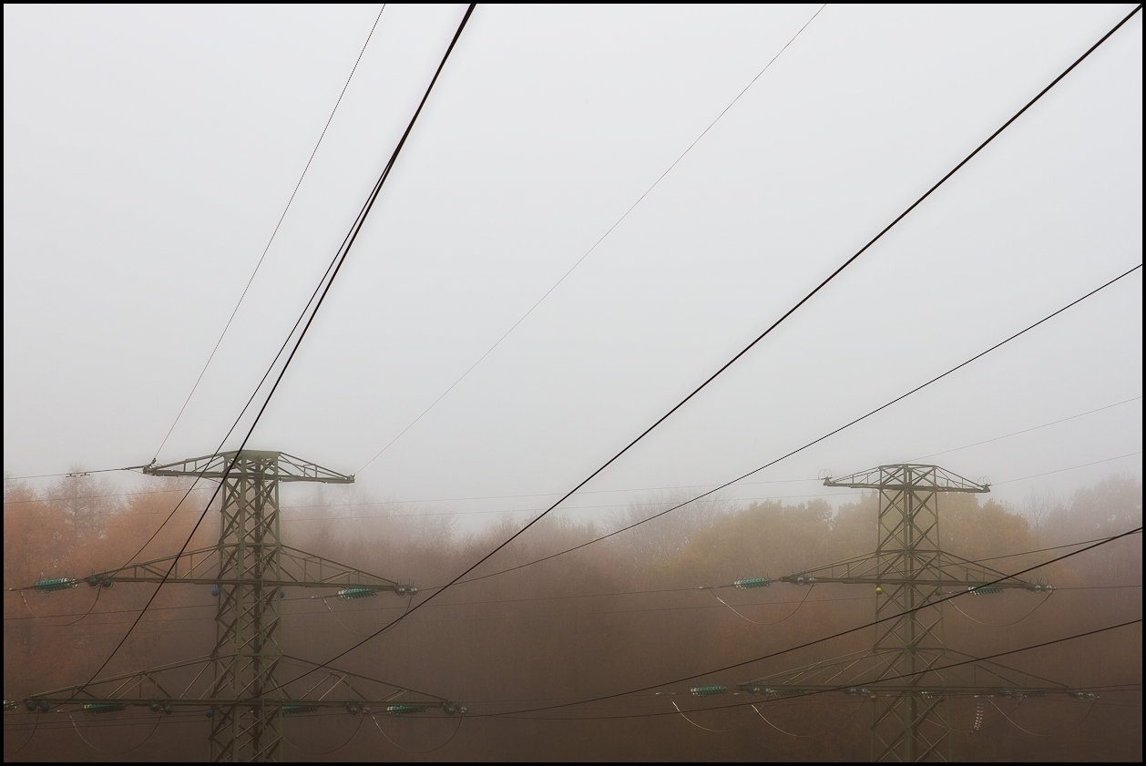 Marionetten im Nebel; nähe Lübeck