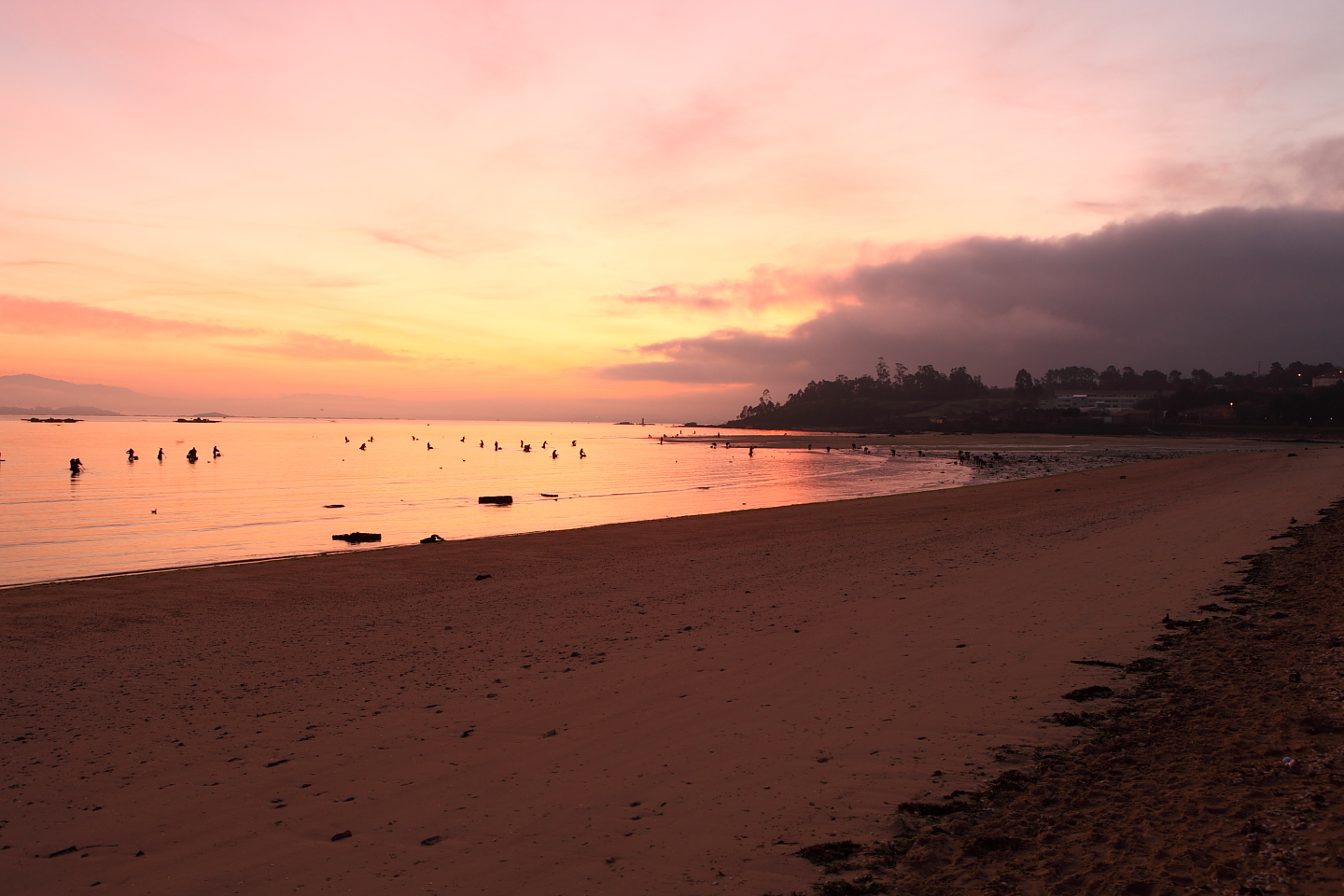 Mariscadoras al amanecer