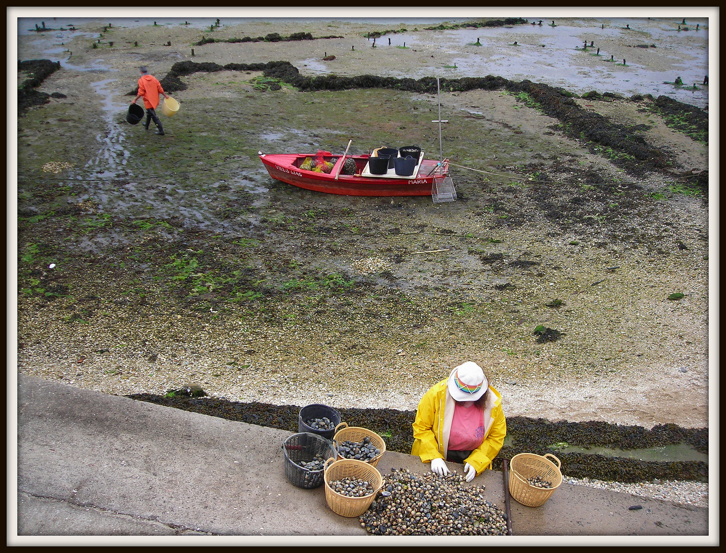 mariscadoras de galicia